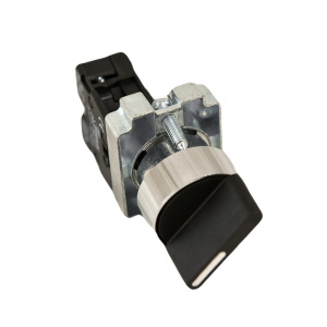 Переключатель CB2-BD21 2Р Sirius