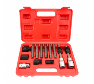 Набор инструмента для снятия/установки шкивов генераторов AV Steel, 13пр.