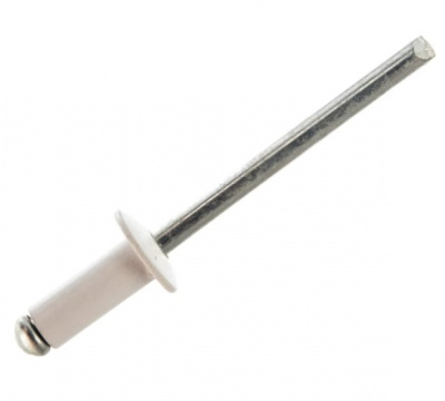 Заклепка 4,8*12мм RAL 9003 (белые)