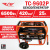 Бензогенератор TT TС-9602Р AC/DC EDITION Бензогенератор TT TС-9602Р AC/DC EDITION