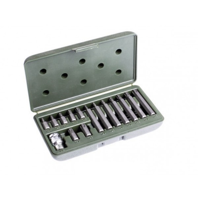 Набор вставок 3/8" TORX (T20,T25,T30,T40,T45,T50,T55), длина 30мм и 75мм, 15 предм. ДЕЛО ТЕХНИКИ